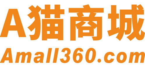 浙江艾猫网络科技 信息科技浪潮中的创新者与赋能者